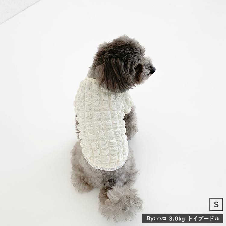 犬服 3S わんこの普段着 ポップコーン 犬服 3S わんこの普段着