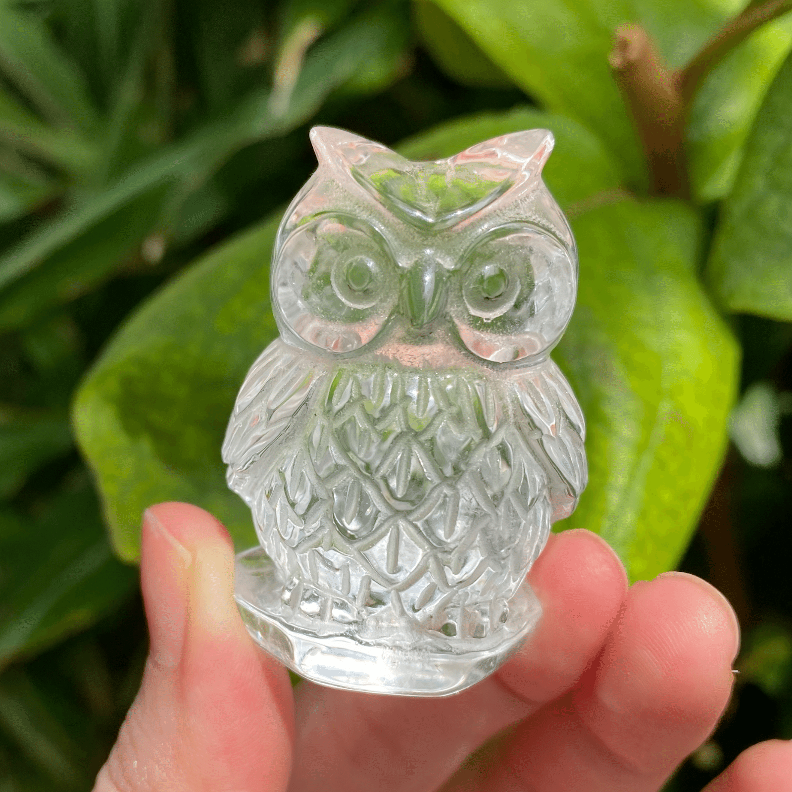 天然素材の根付＊＊新品＊＊ 【公式通販】