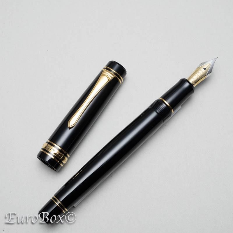 パイロット 万年筆 創立75周年記念 