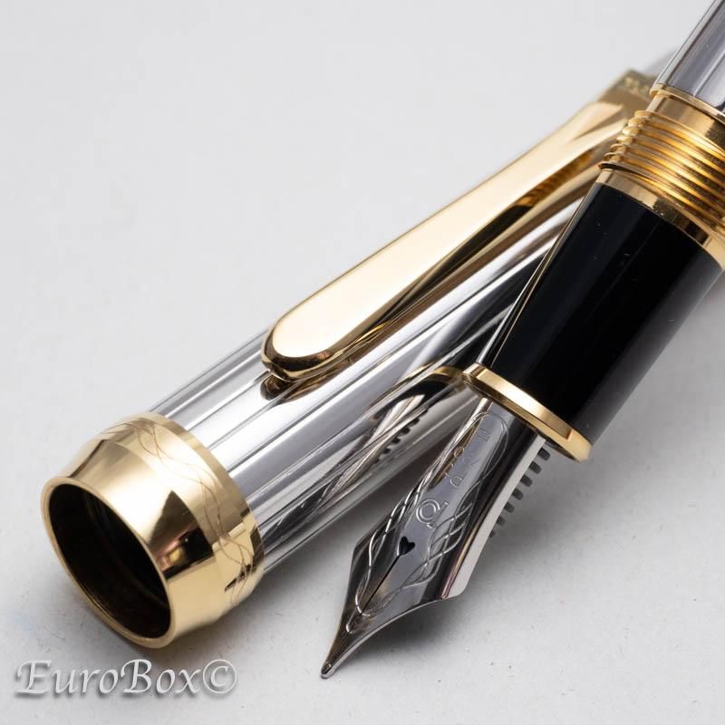 プラチナ 万年筆 プラチナ・プラチナ 白金無垢 PP-700000 Pt.900