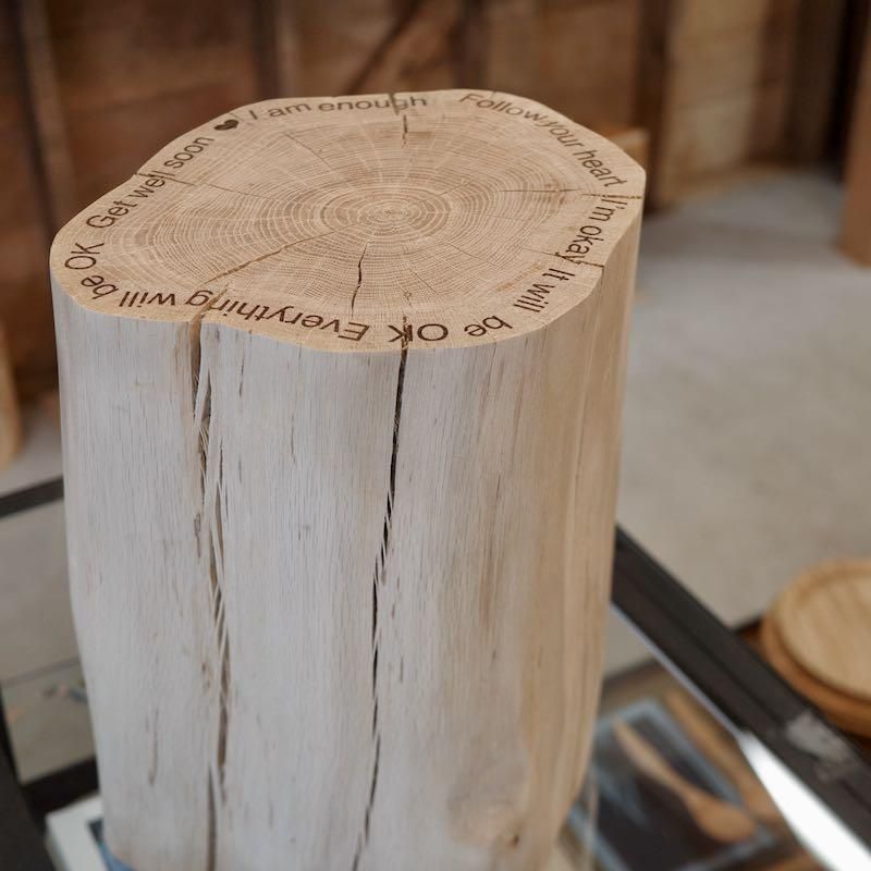 3104 ミズナラ 水楢 天然木 切り株 丸太 輪切り 高さ約28㎝ ミズナラ水