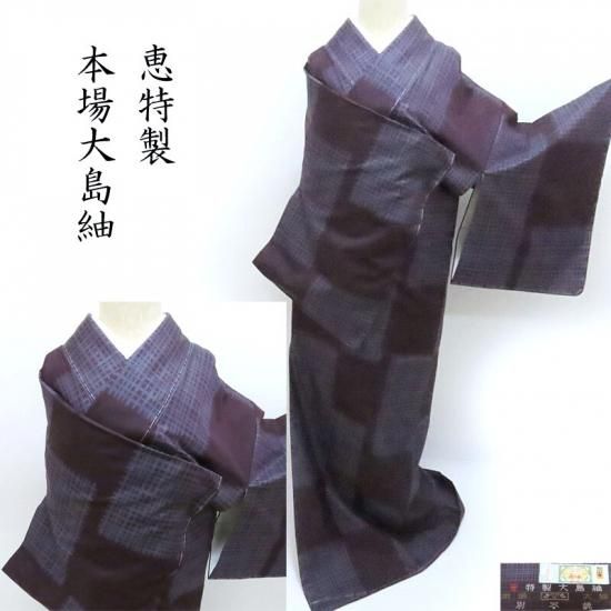 単衣 大島紬 アンサンブル 大臣指定工芸品 本場大島紬 道行コート