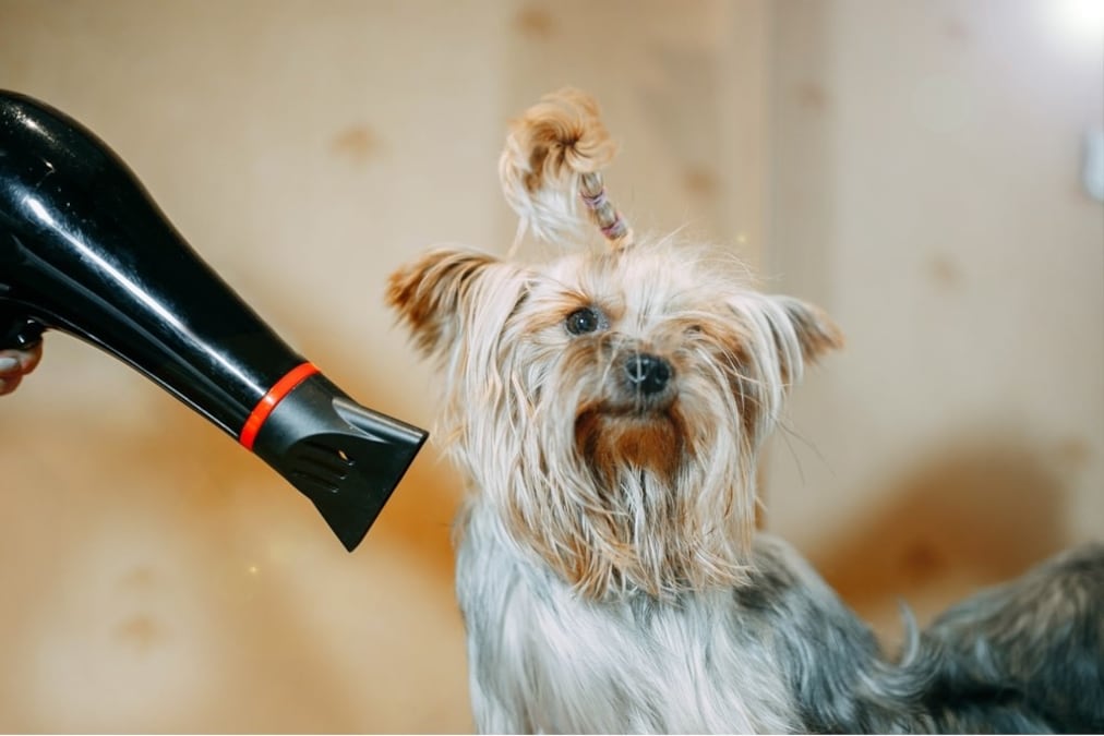 ドギーマン フリーハンドドライヤー 1200W ドギーマン フリーハンド