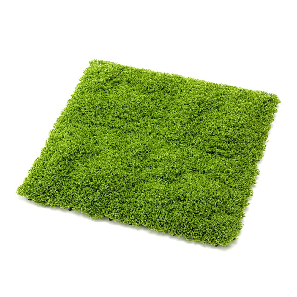 カインズ グリーンマット モス 50×50cm | 花＆グリーン 通販