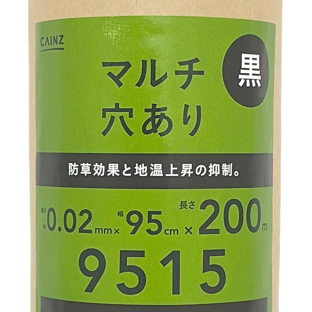 カインズ 穴あきマルチ 黒 9515×200m 60φ | 被覆資材 通販