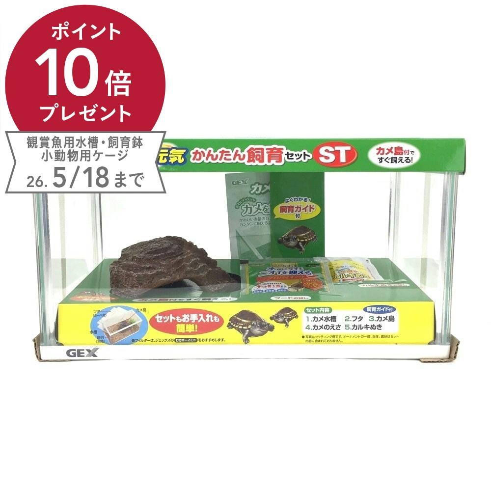 GEX カメ元気 かんたん飼育セットST | ペット用品（小動物・鳥・亀