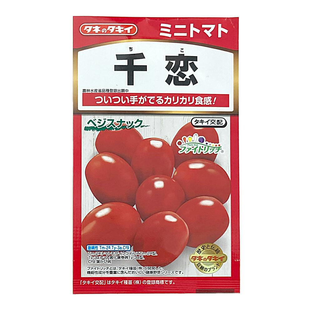 千恋 ミニトマト | 花＆グリーン 通販 | ホームセンターのカインズ