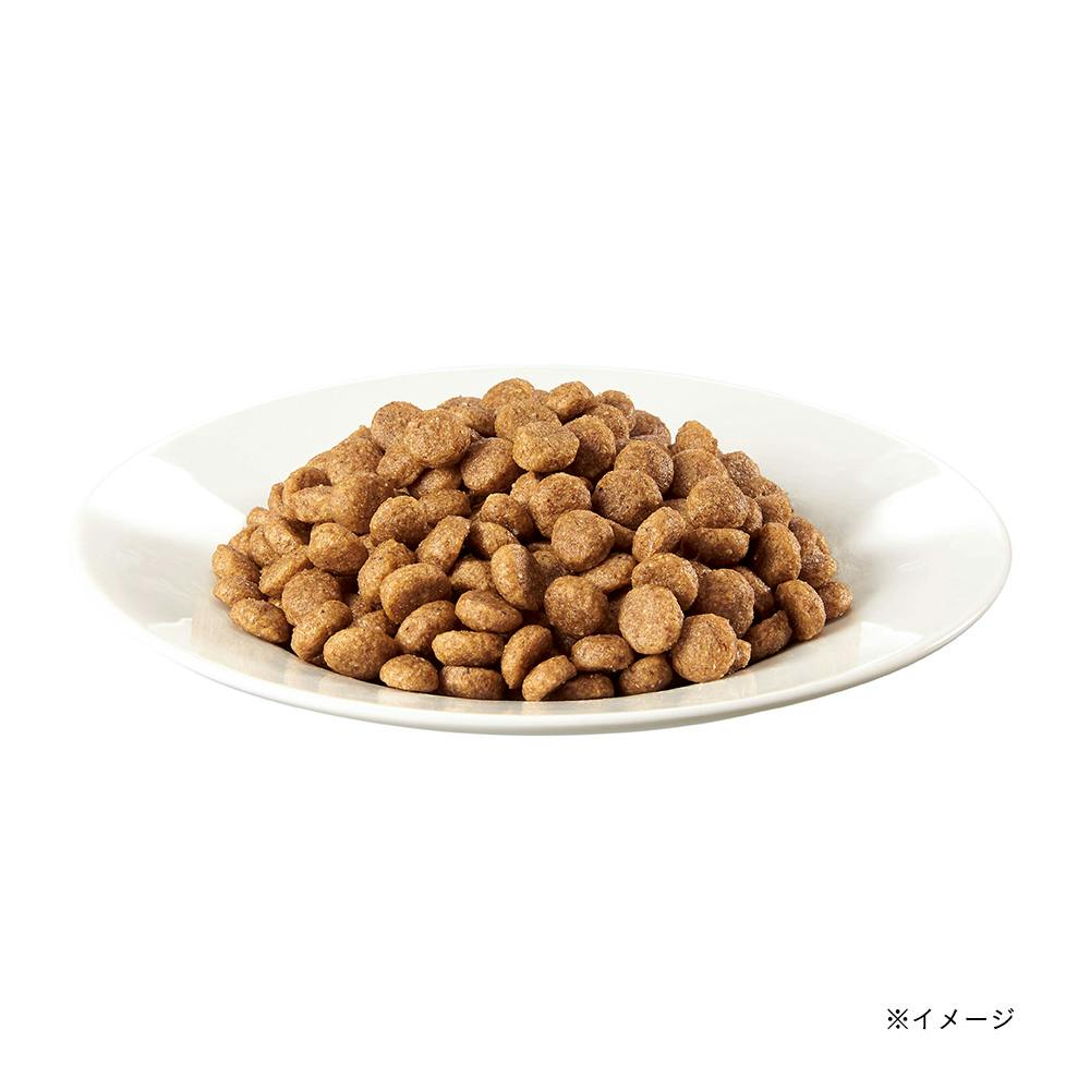 シーザードライ 成犬用 チキンと4種の農園野菜入り 小粒 3kg CSR11