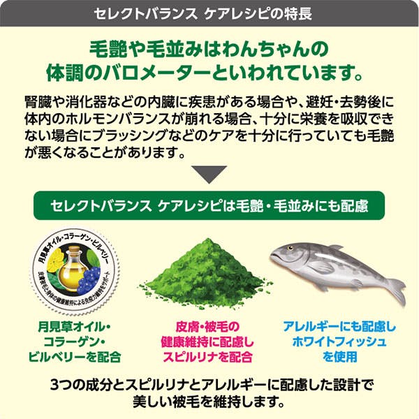 セレクトバランス ケアレシピ 腎臓・心臓の健康維持レシピ / 1才以上の