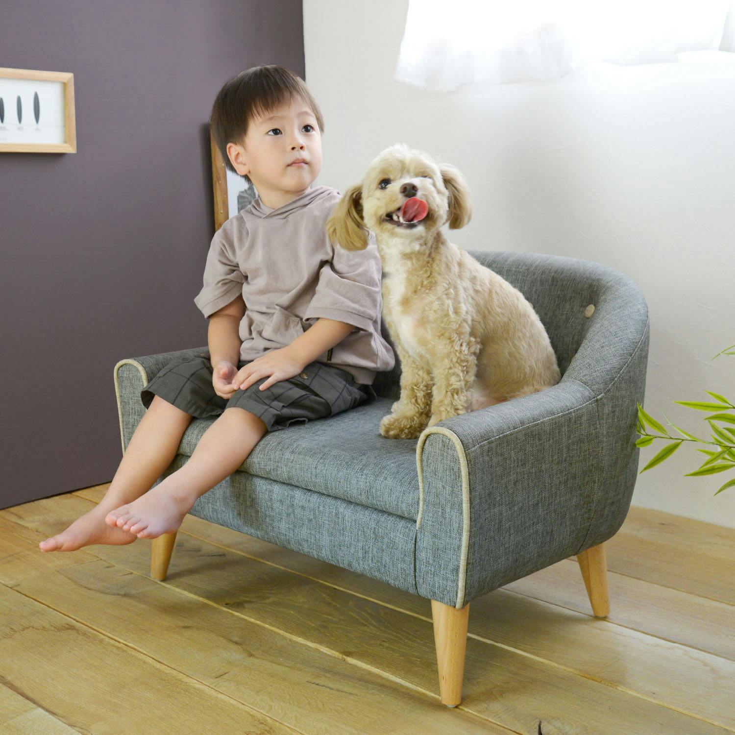 犬猫 ソファー 取り外し可 洗える グレー 北欧 ペットソファー 子供用