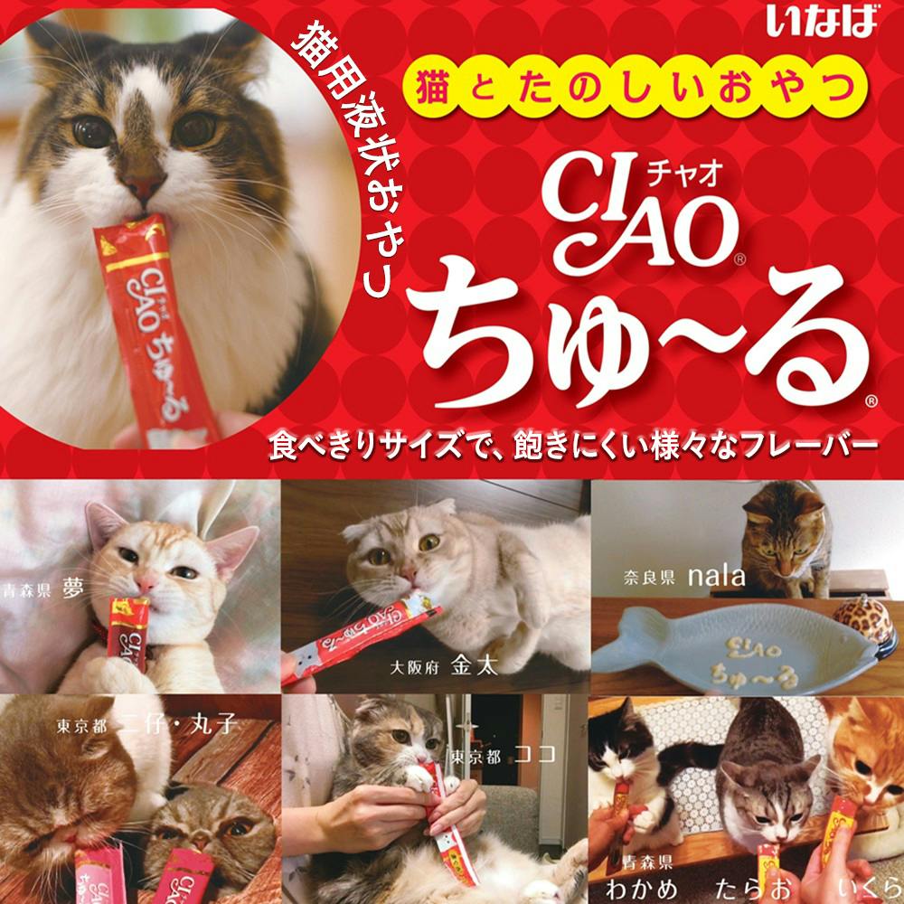 ケース販売】いなば CIAOちゅ～る40本シーフードバラエティ(1ケース8個