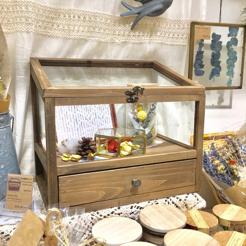 salut! サリュ ガラスケース ショーケース ガラスハウス キャビネット