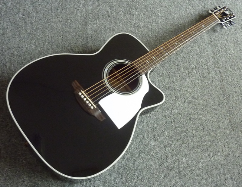 値引き相談可！Shelly SY-MT 12弦アコースティックギター 値引き相談可