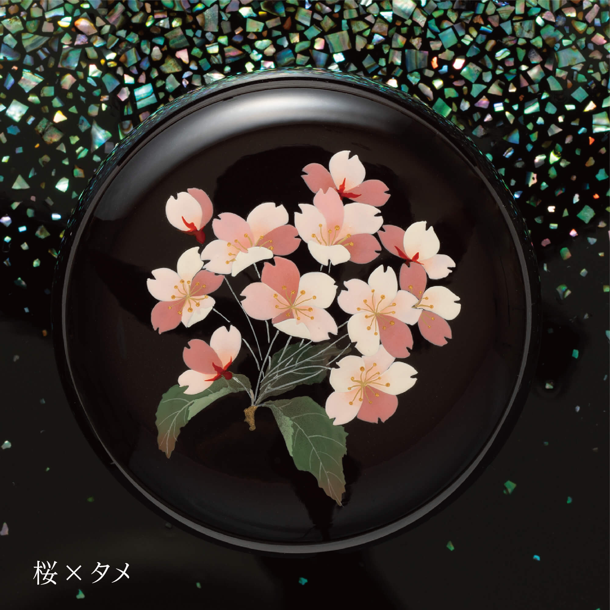 壷と花 壷と花 壷と花 壷と花 壷と花 Amazon.co.jp: ZX