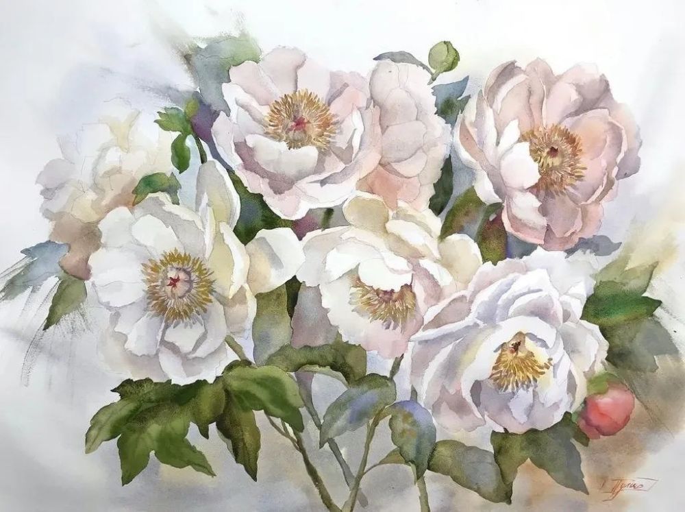 絵画】ボタニカルアート 「カサブランカ 純白の貴婦人」原画 絵画