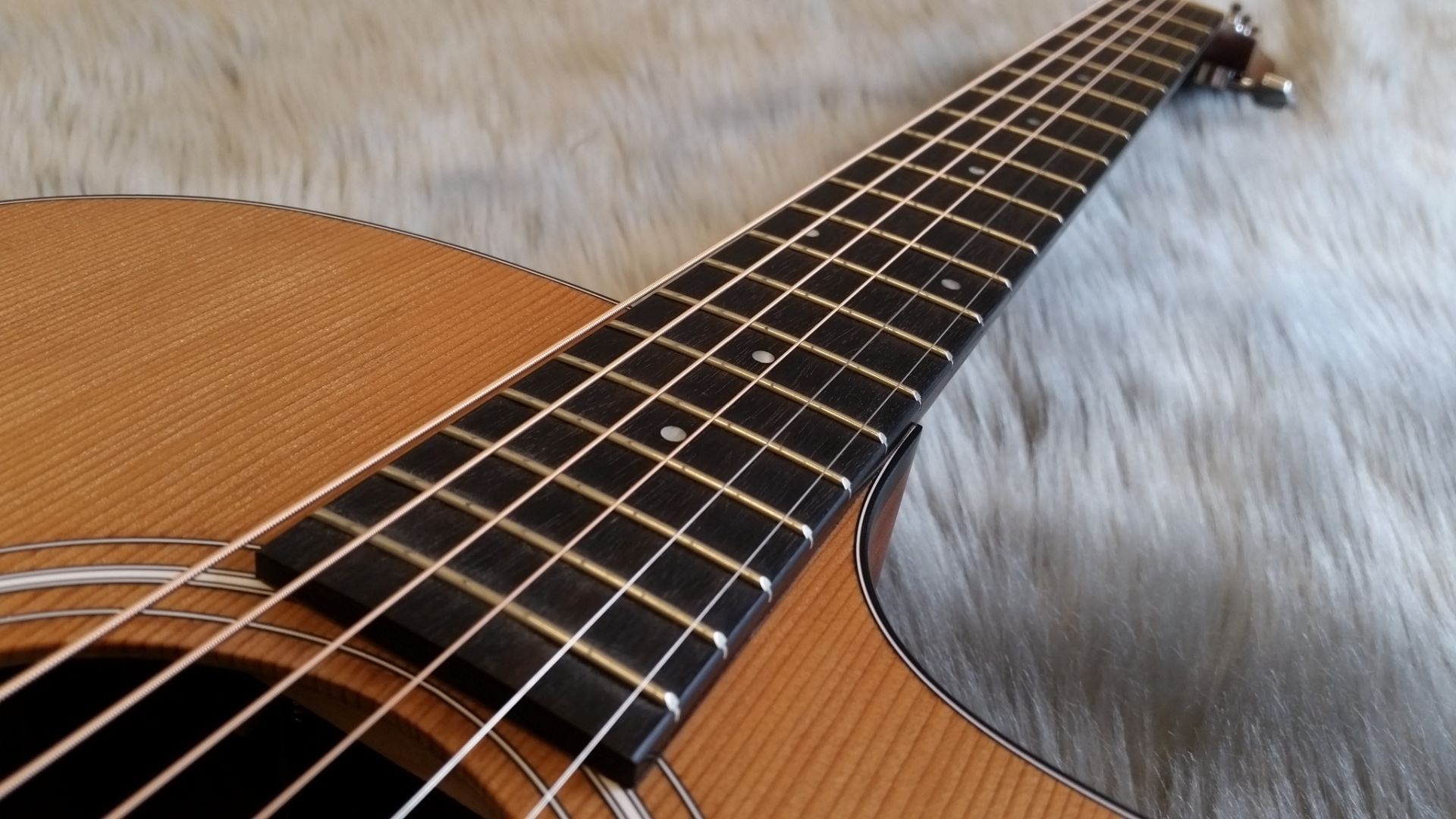 Taylor】エレアコ定番の100番台がお得に！114ce Japan Limited 2016が