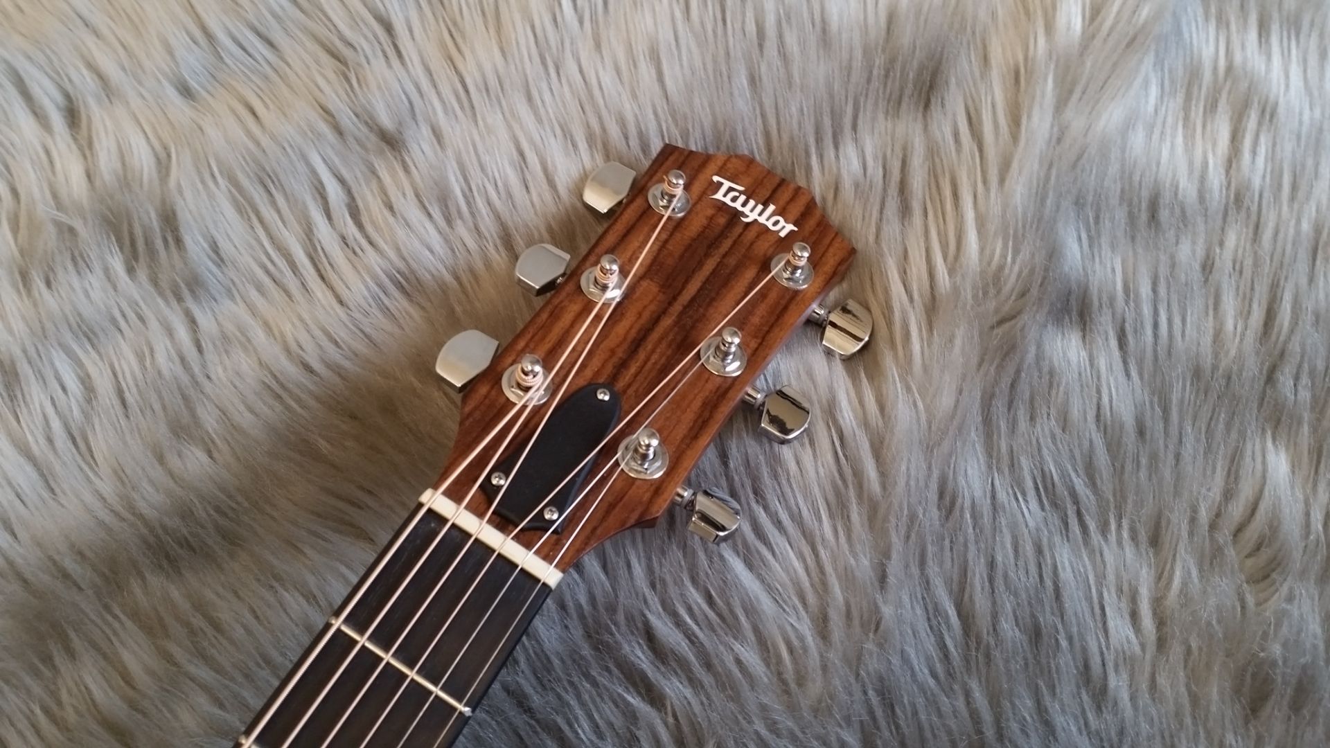 Taylor】エレアコ定番の100番台がお得に！114ce Japan Limited 2016が