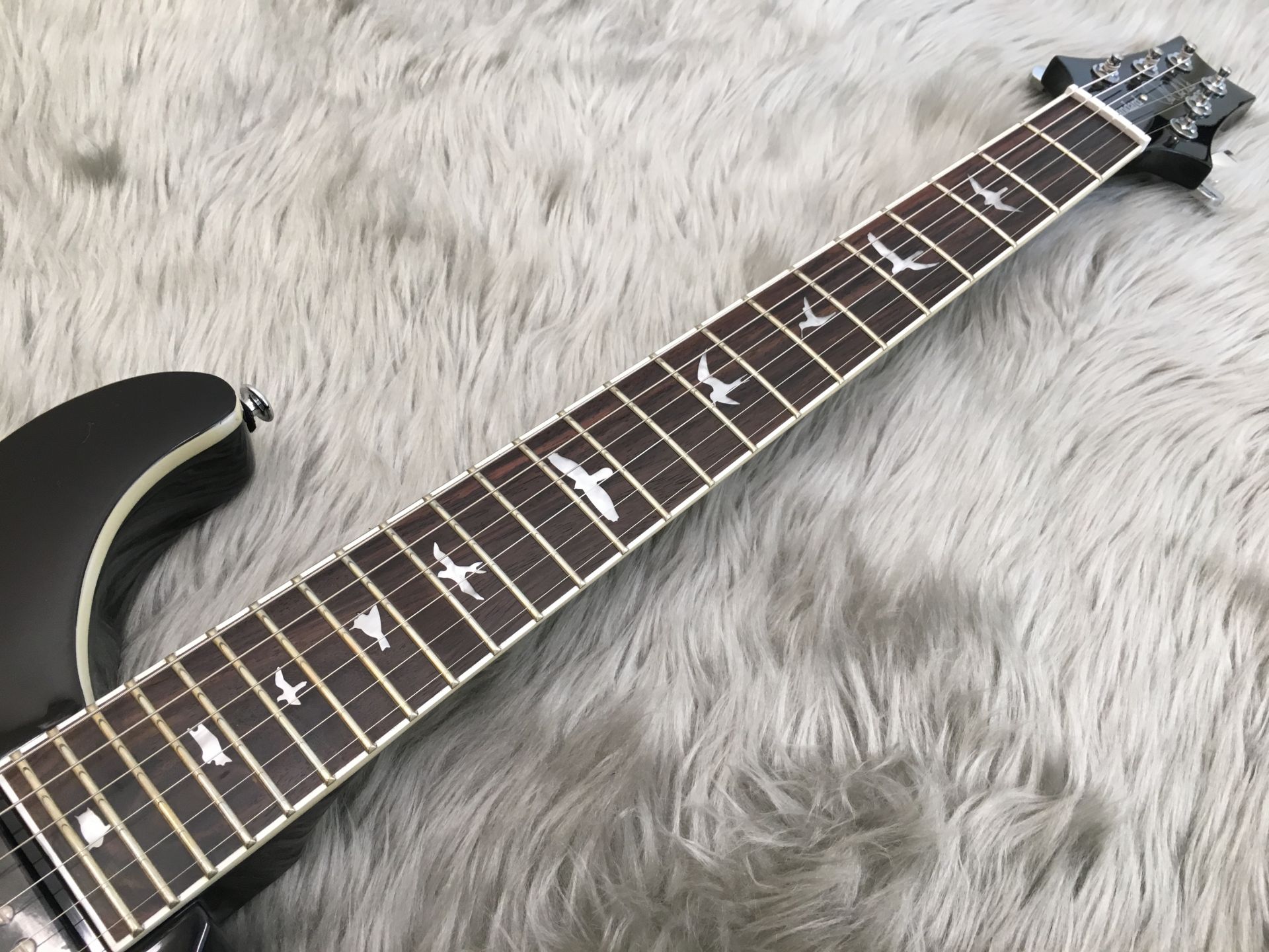 当社限定モデル PaulReedSmith SE Standard24 ALL BLACK が新入荷致し