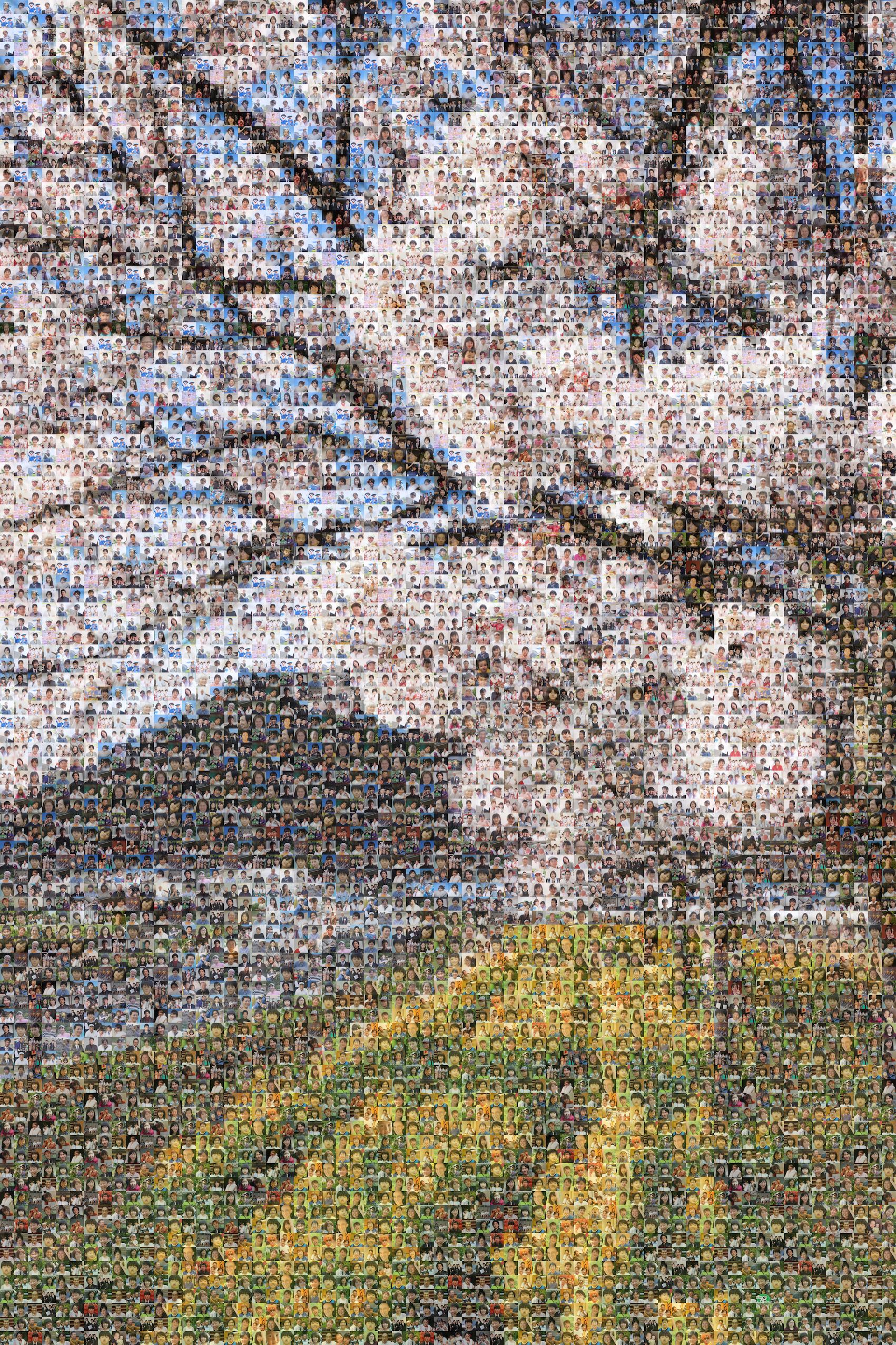 猪名川町民大集合！モザイクアート第2弾、桜！ | いながわベース