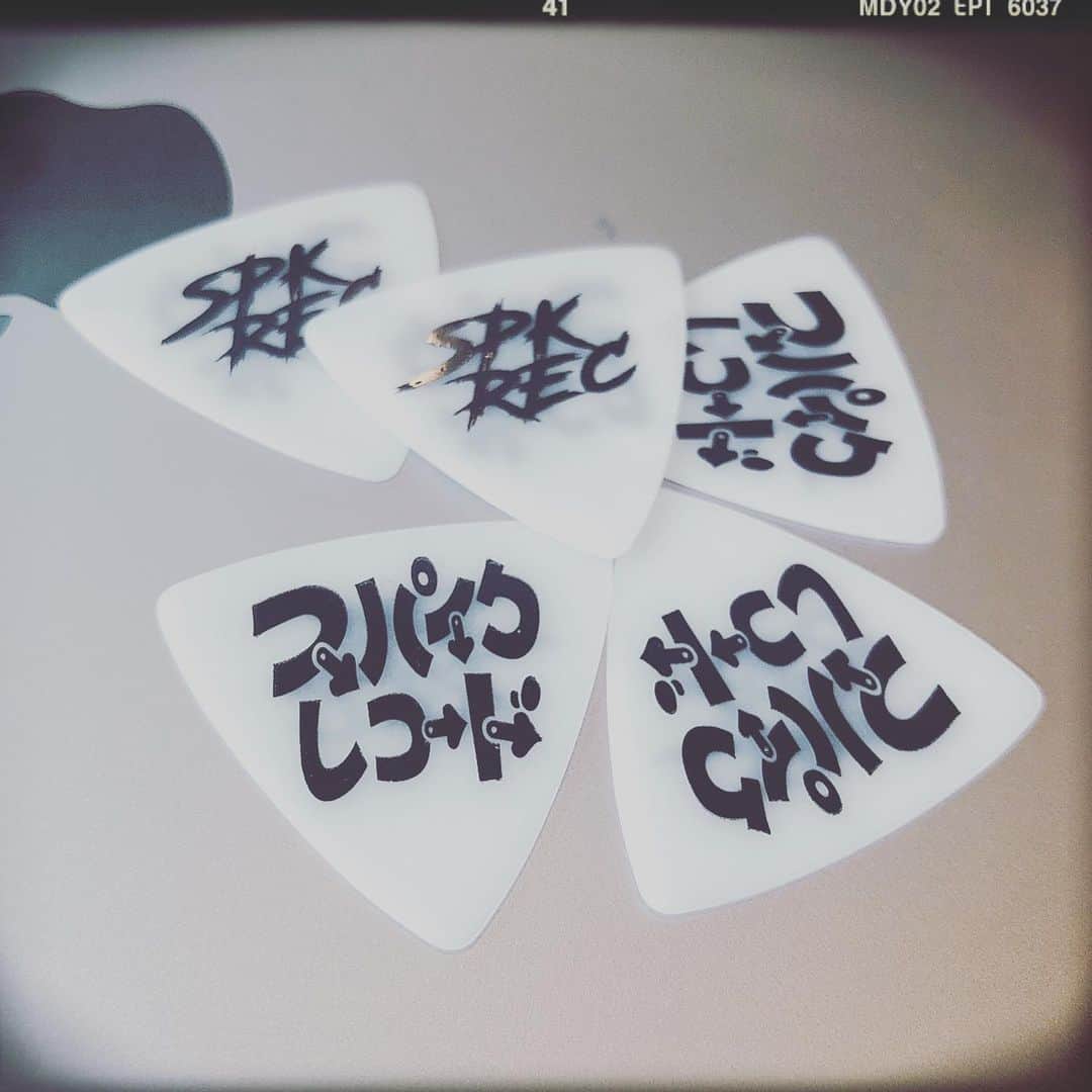 GLAY HISASHI ご本人使用 ピック GLAY HISASHI ご本人使用 ピック