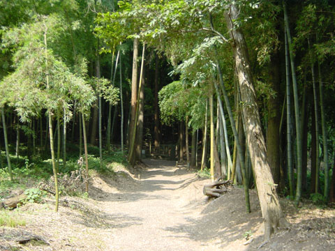 徳大寺公全極】◇『 西行法師 古筆和歌色紙 』 西行◇検）藤原定家