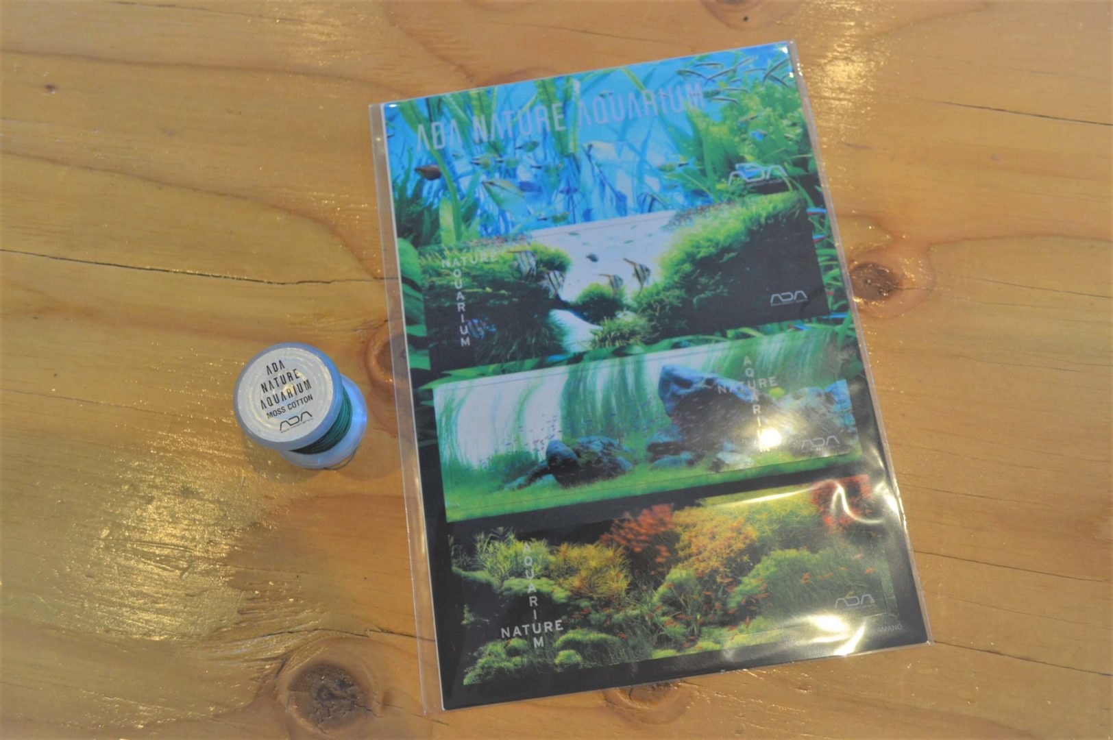 and ADA イベントグッズ 入荷！ | color