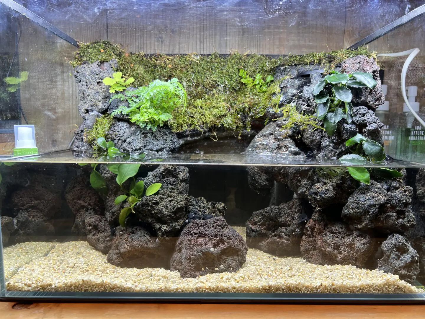 受注生産】滝の流れるアクアテラリウム イモリウム 苔 水槽 苔