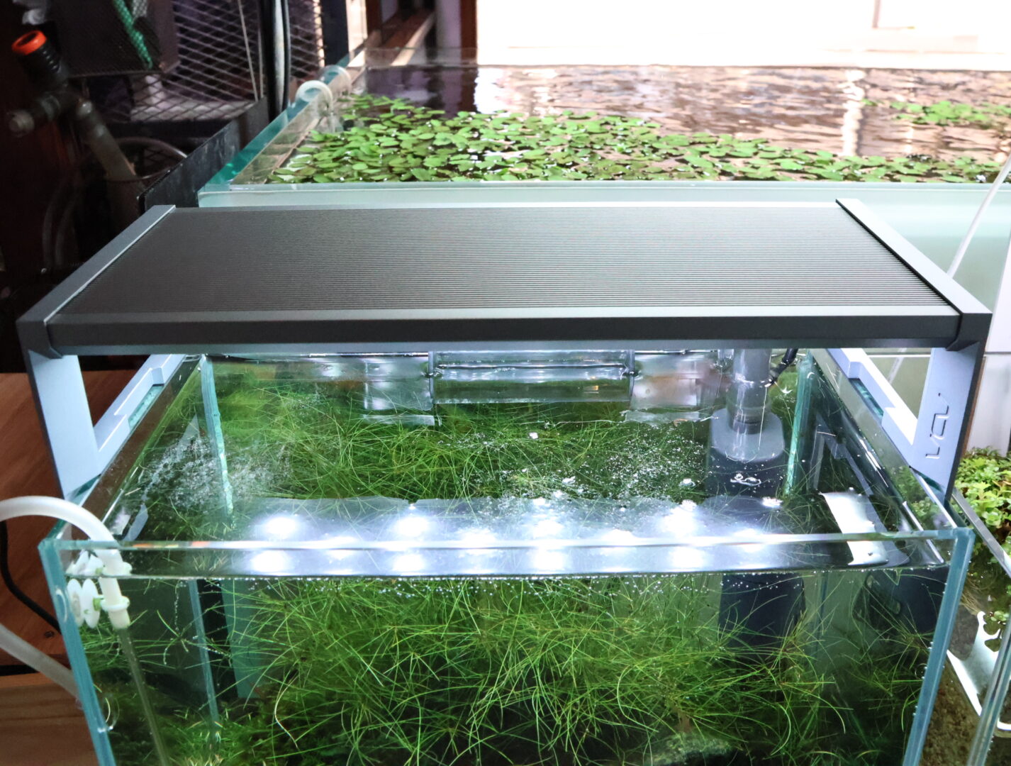 アクアスカイ RGB ベーシック 300 | color