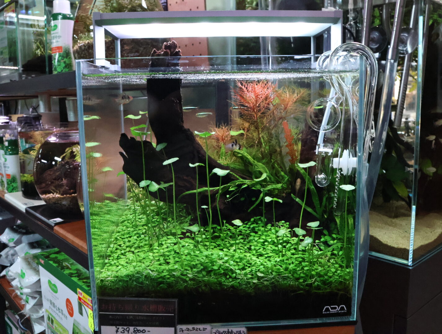 アクアスカイ RGB ベーシック 300 | color