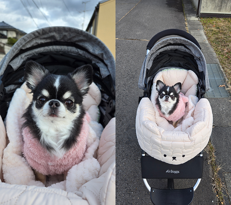 AIRBUGGY ペットカート アーバンホワイト ラージ エアバギードーム3