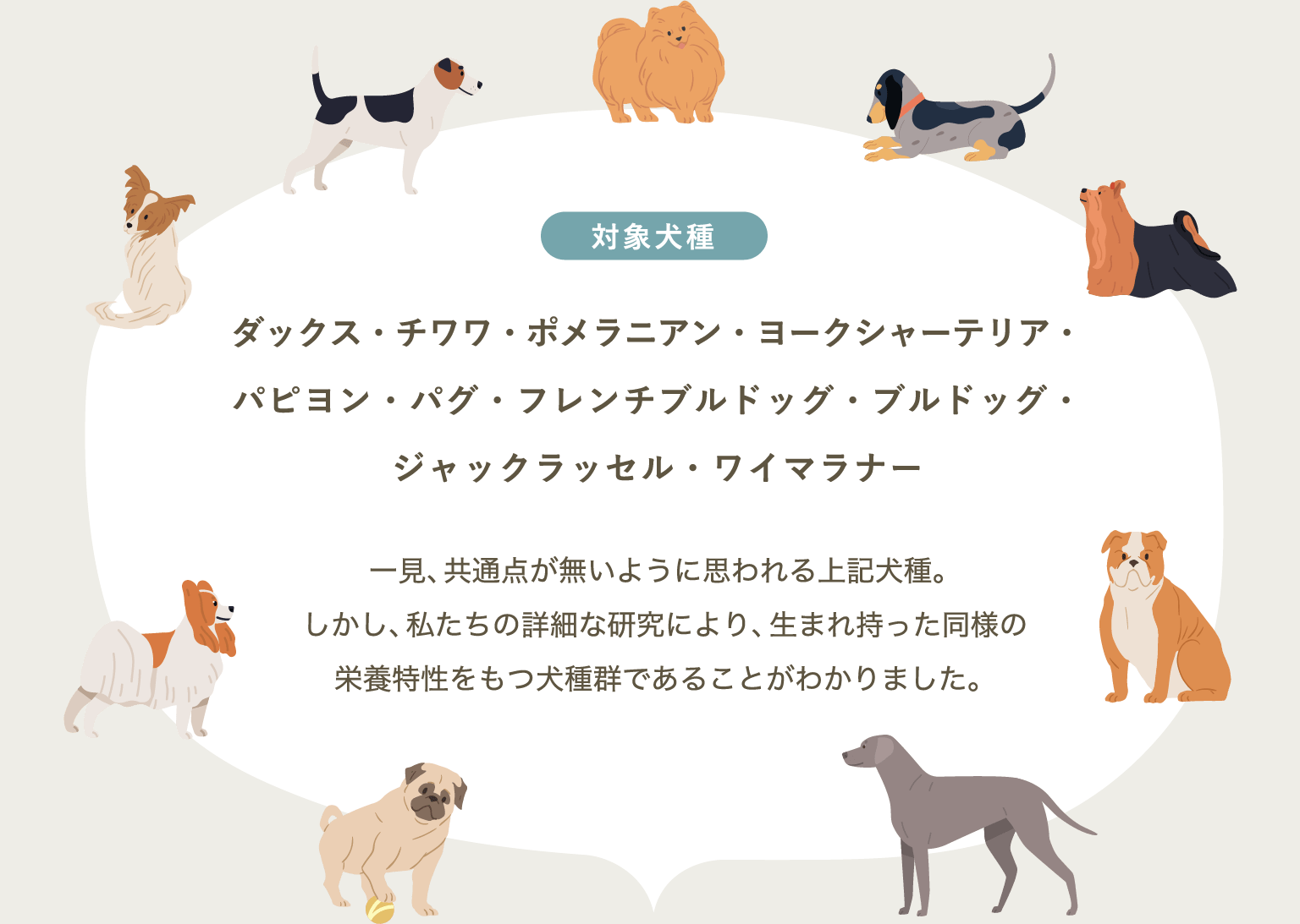 犬心～OMEGA3 SUPPORT DOGS - 犬心～INUKOKORO～