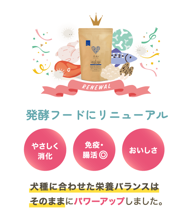 犬心～LOW FAT DOGS～ - 犬心～INUKOKORO～