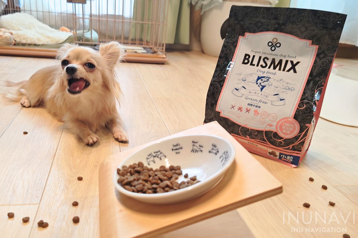 ブリスミックスドッグフードの口コミ評判は？専門家が実際に購入して