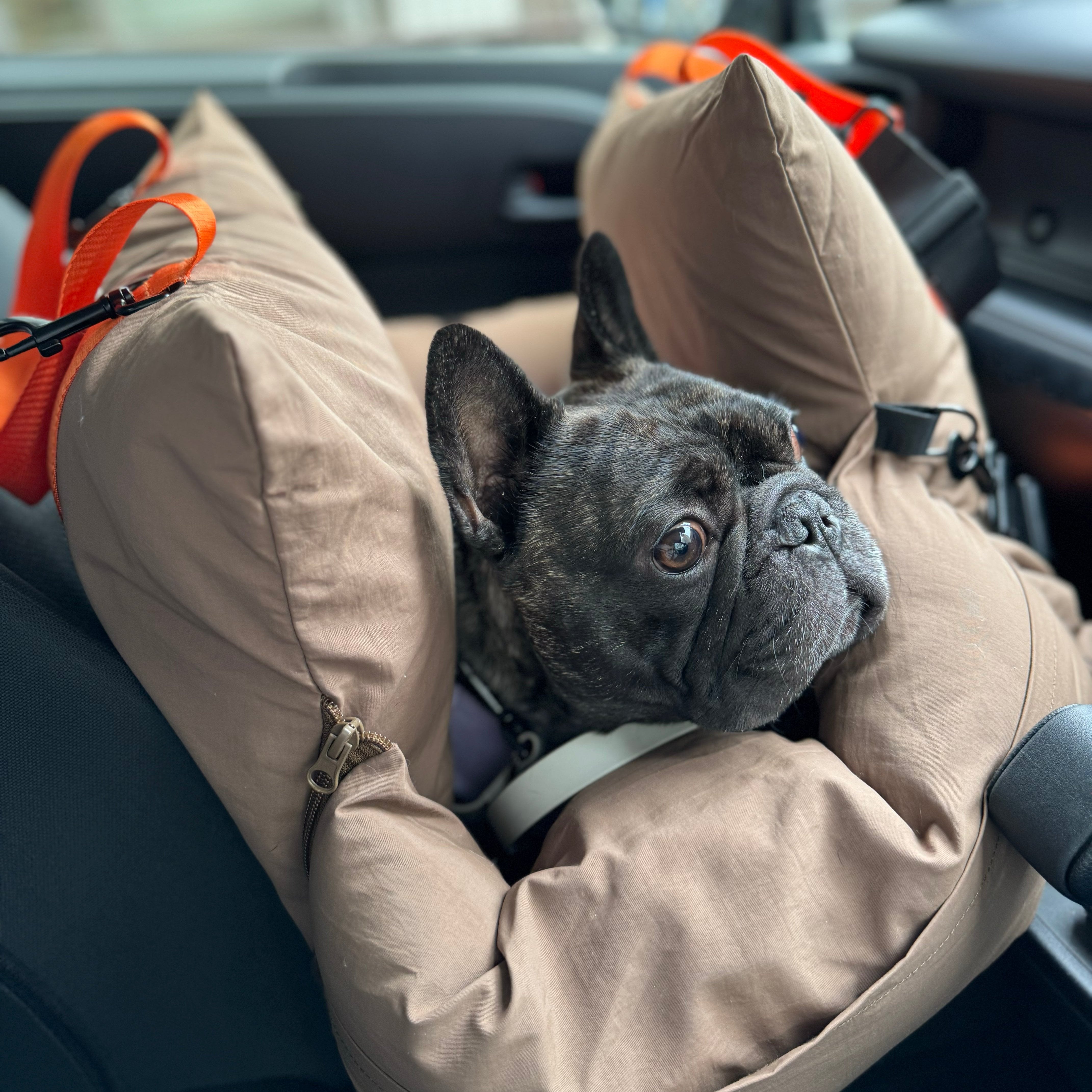 バックパックキャリー ブラックチェック / Explore Pets Backpack