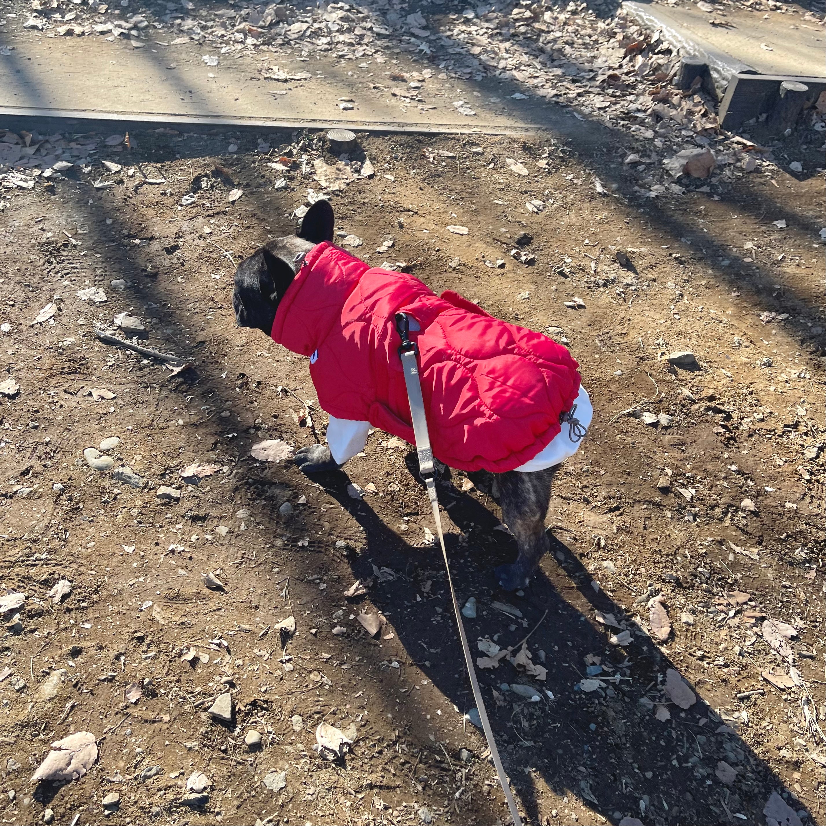 The painter's wife / ザ ペインターズワイフ 正規販売店 – inunoco