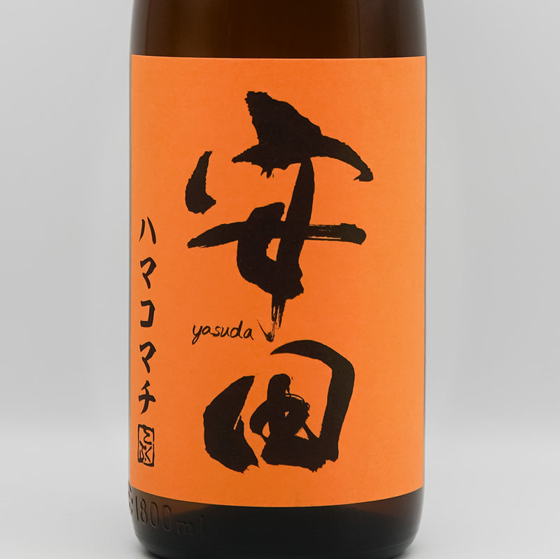安田 ハマコマチ 1800ml｜焼酎専門店 - いそべ酒店