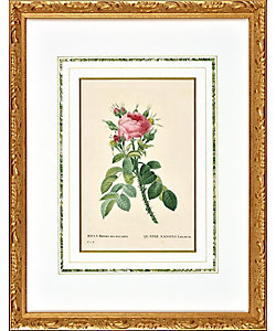 蛯田均 水彩画 「シトロンⅢ」 三越取扱 額装 静物画 アート