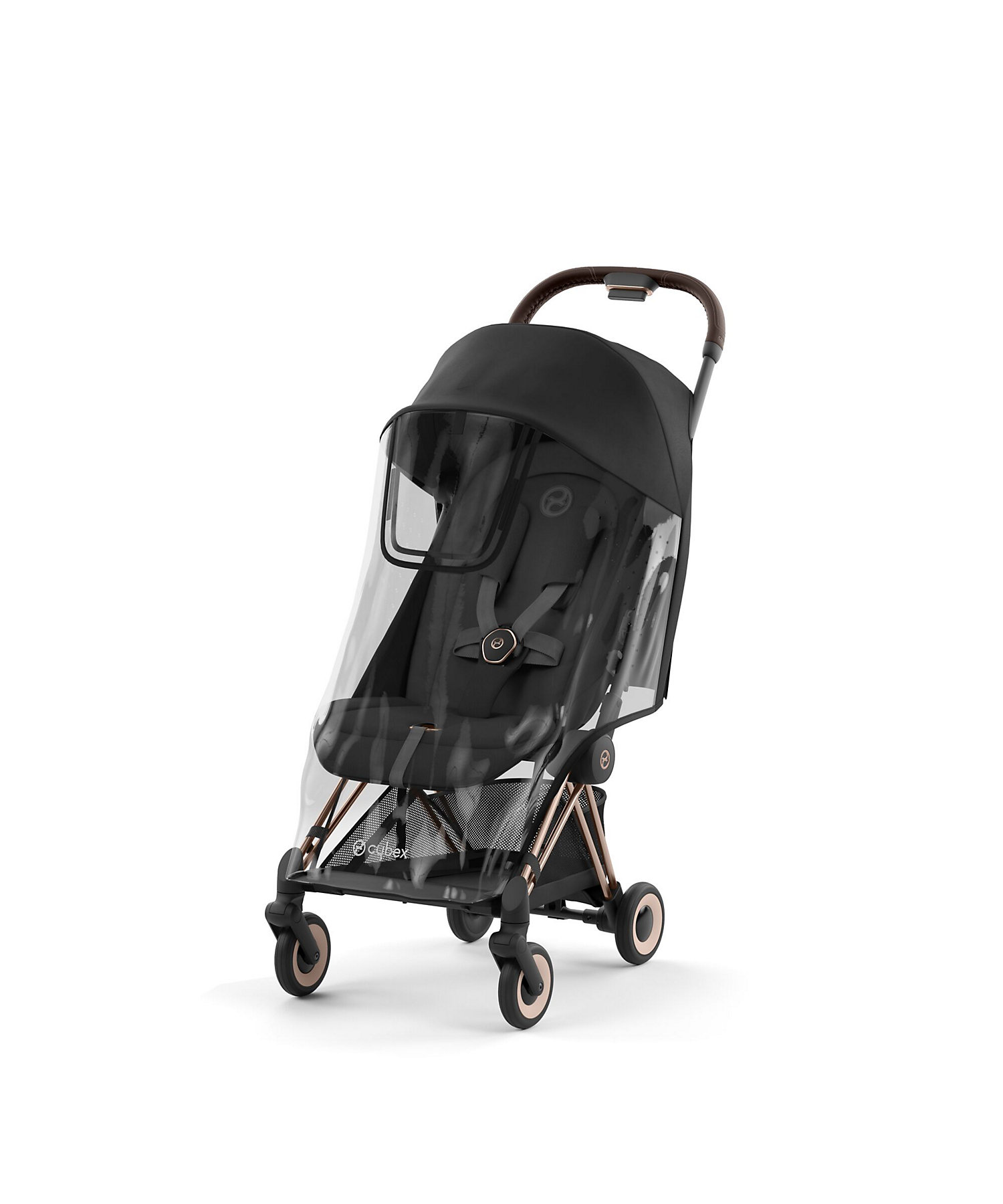 ペルー産 オオキバウスバカミキリ 115mm ペルー産 オオキバウスバ