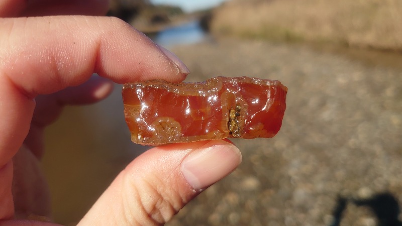 玉川瑪瑙と珪化木国産鉱物と原石No.⁇⁇ 玉川瑪瑙と珪化木 国産鉱物や