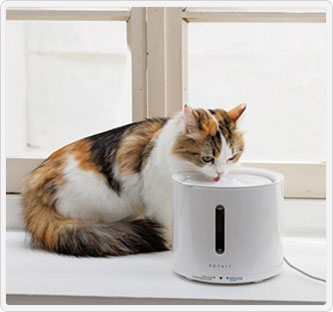 JALとっておきの逸品｜〔PETKIT〕ドリンキングウォーターファウンテン