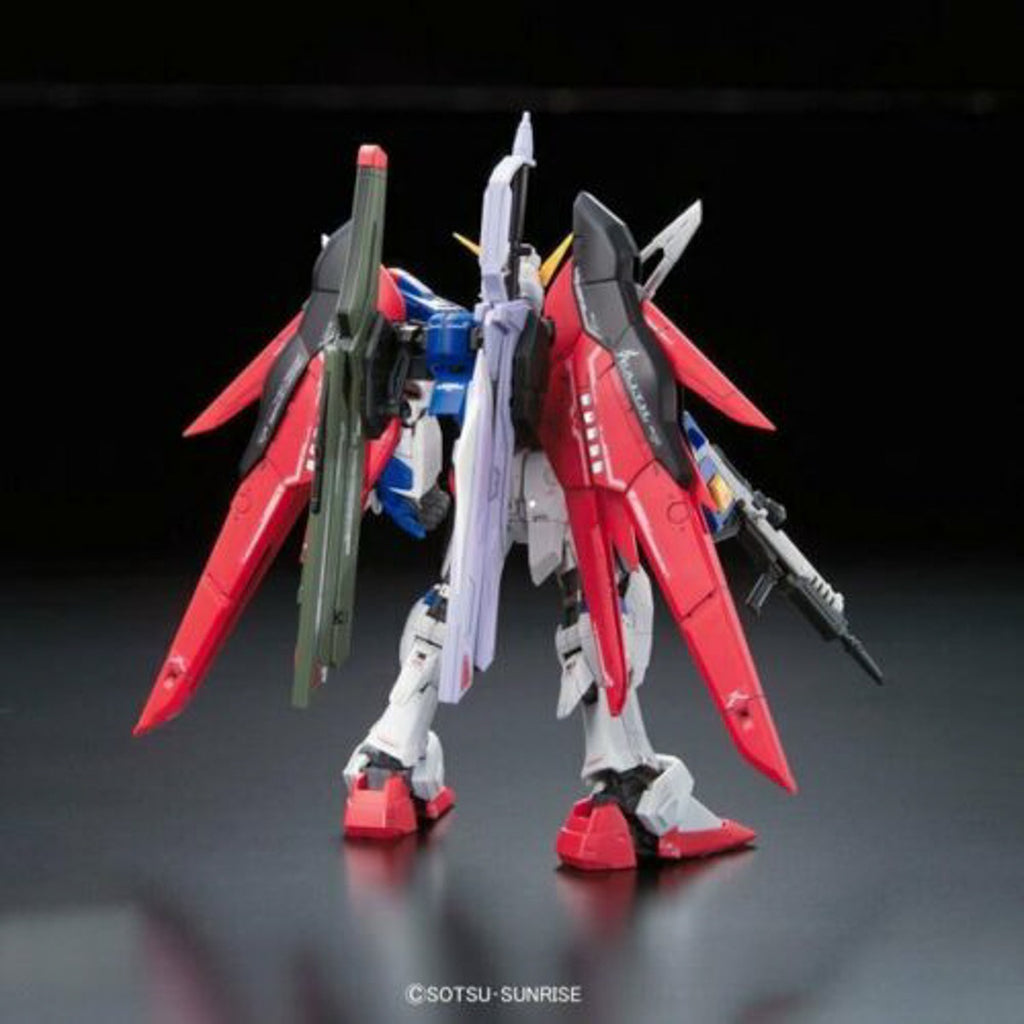 RG WING GUNDAM DESTINY GUNDAM セット RG WING GUNDAM DESTINY GUNDAM