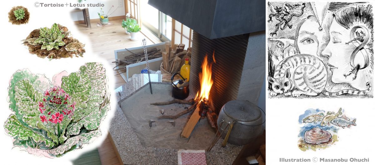 センダンの薪・鳥坂まんじゅう | 囲炉裏暖炉のある家 tortoise＋lotus