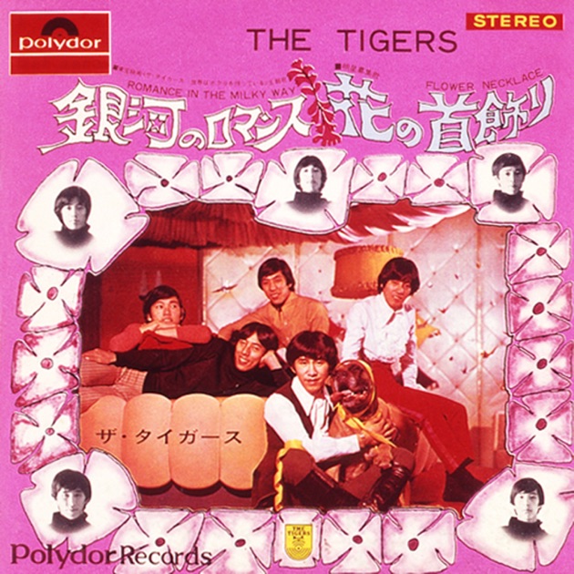 THE TIGERS 2013 LIVE in TOKYO DOME ザ・タイガース/THE TIGERS 2013