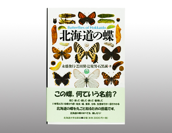 北海道の蝶 | 事典、マニュアル、専門書 | 事例紹介 | 株式会社アイワード