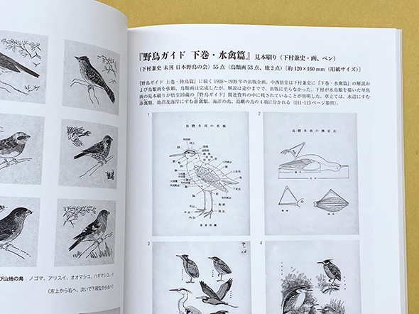 日本の鳥類図鑑の金字塔、幻の図鑑／鳥類原色大図説(全3巻)／