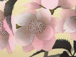 新発売】 速水御舟：夜桜 : クラシック音楽とアート 版画 - 版画