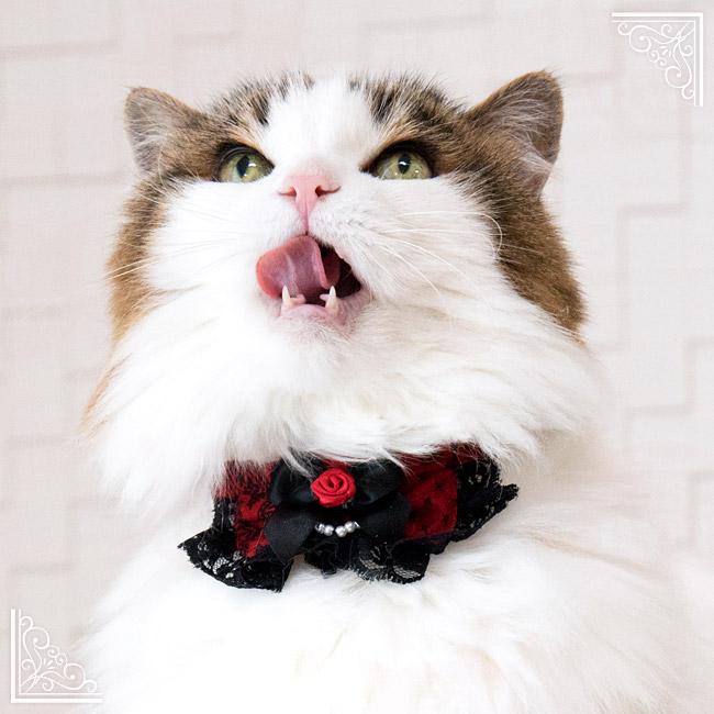 ちょこえり猫用首輪 ゴスロリ情熱ローズ : 56nyan 猫用品ゴロにゃん
