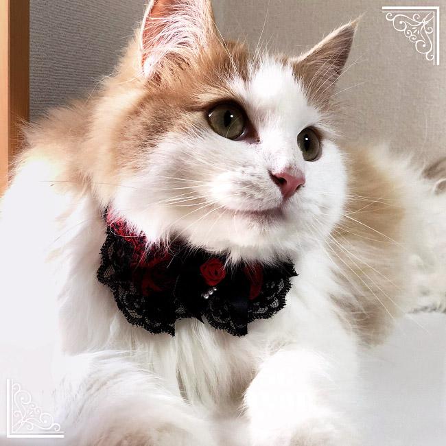 ちょこえり猫用首輪 ゴスロリ情熱ローズ : 56nyan 猫用品ゴロにゃん