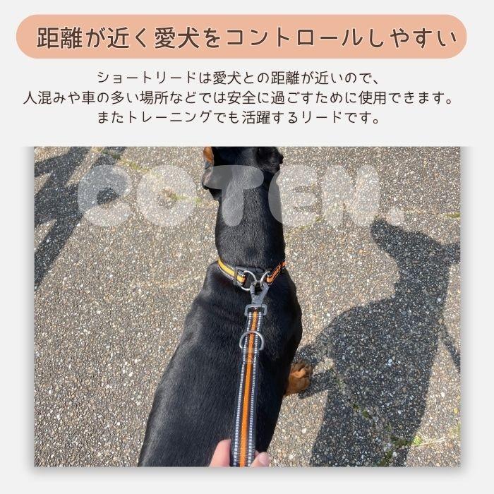 COTEN 犬 ショートリード ロック付き 丈夫 安全 しつけ 訓練 引っ張り