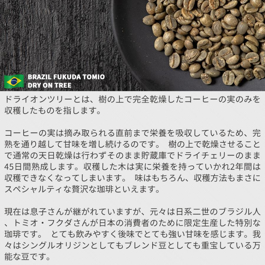 コーヒー 生豆 お得な 500g ブラジル トミオフクダ ドライオンツリー